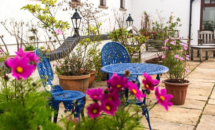 Ael y Bryn courtyard; benches and tables with summer flowers and potted plants.